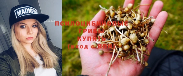 a pvp Сатка