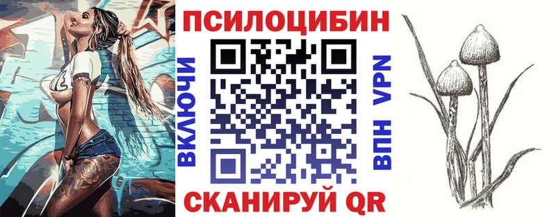omg   Вытегра  Псилоцибиновые грибы Magic Shrooms 